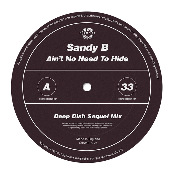 Sandy B - Ain't No Need To Hide (12" Vinyl)